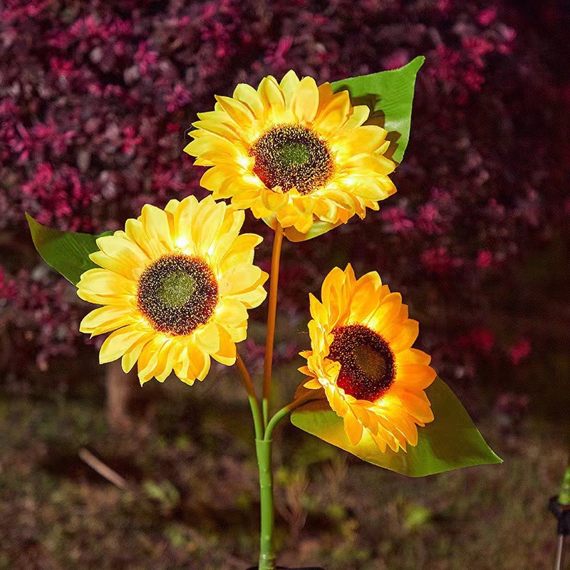 Sunflower 3 heads (two functions)