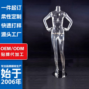 Model Full-Body Women's Clothing Lingerie Store Mannequin Half-Body Hollow Photography Prop Transparent Plastic Mannequin