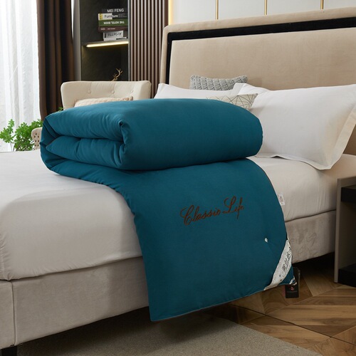 Cross-border quilt core silk quilt with thick winter quilt high-end pure handmade mulberry silk summer quilt for student dormitory spring and autumn quilt