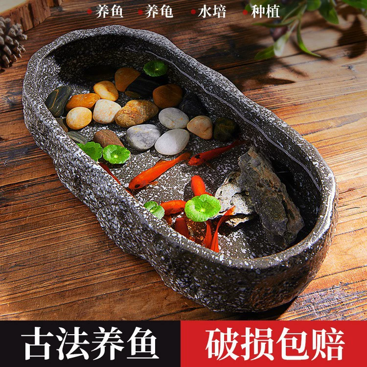 Song-ин аквариум экологический ландшафт