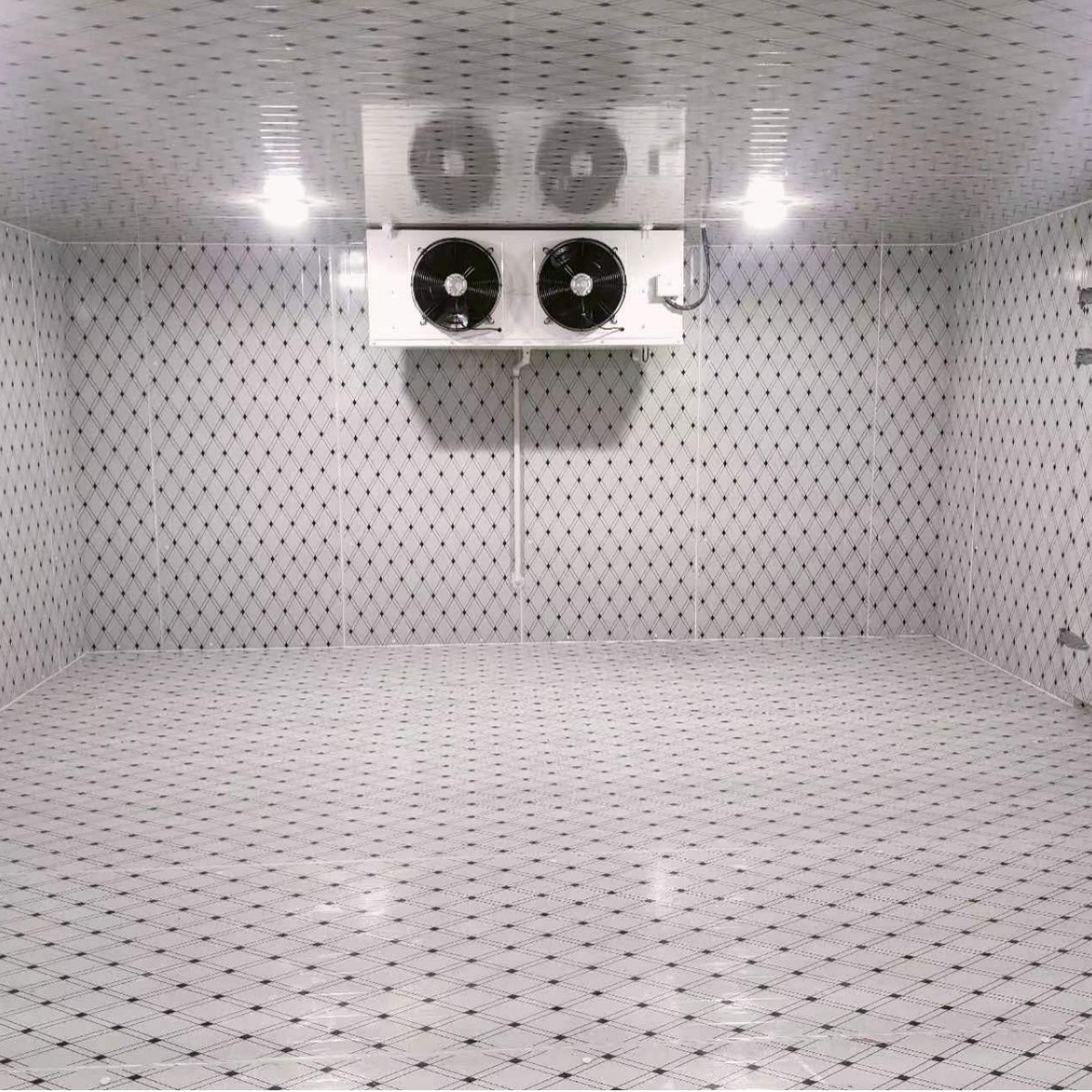 1 Customized Pickled Products and Dried Products Storage Constant Temperature Warehouse Cabinet Workshop House Room Cold Storage Temperature and Humidity Customization Section