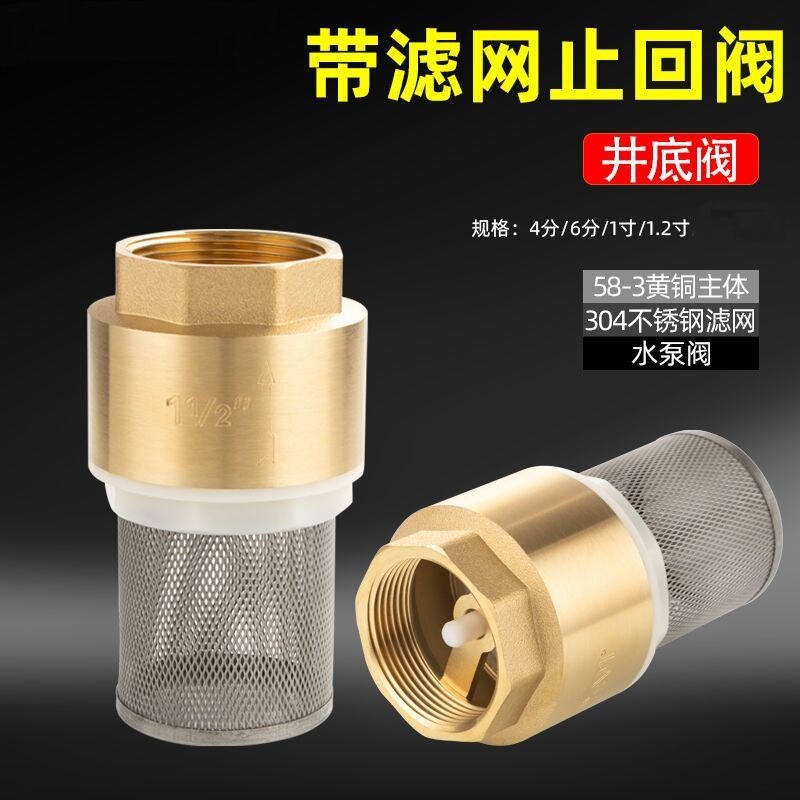 Factory wholesale bottom valve with net 4 points 6 points Anti-backflow brass valve straight-through filter copper core vertical check valve