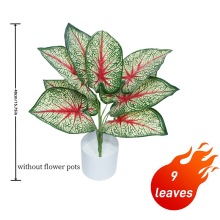 �S��ֱ������ֲ����^���~�k�����[�b����������~��ֲ��Gֲ�[��