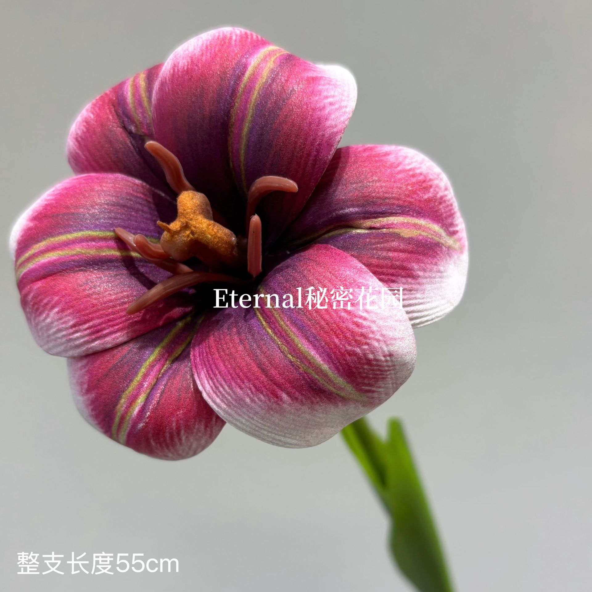 EVA 플립 튤립 된장 레드