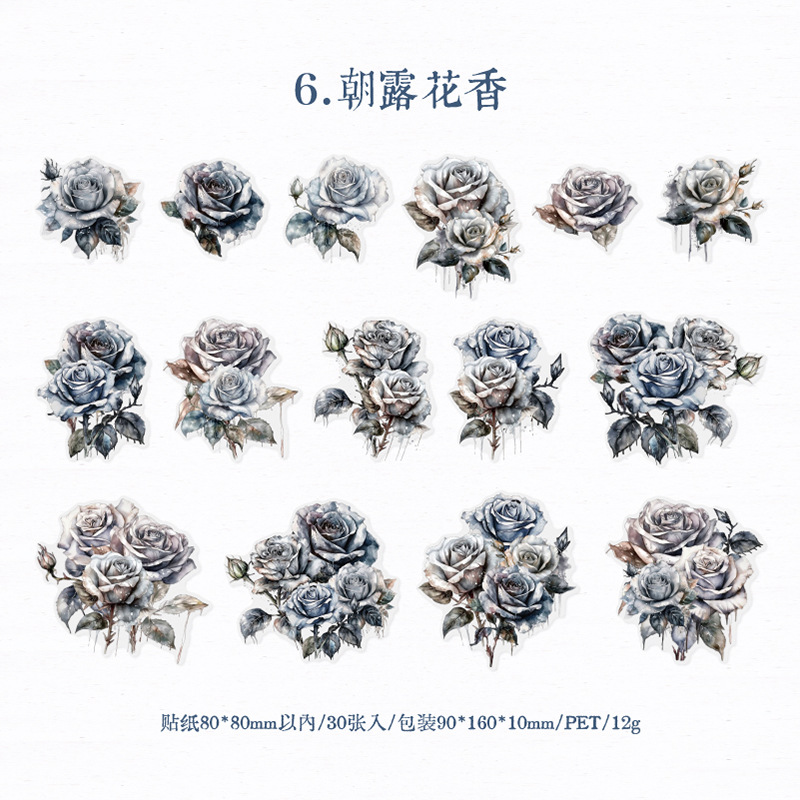 Yan Ji PET pegatinas Rosa aventura serie retro flor diario decoración materiales 30 unidades en 6 modelos