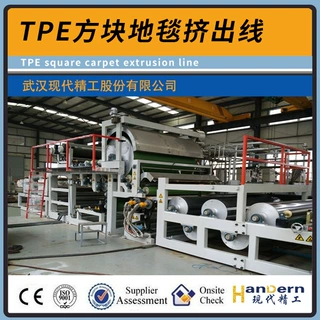 定制TPE环保方块地毯挤出生产线 50x50室内办公装饰设备TPE地毯