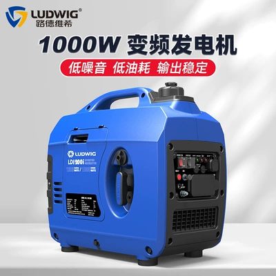 Avtomobil generatorları Gasoline Inverter Generator 230V