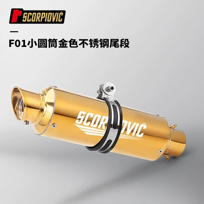 golden tail muffler CBR650 – Motorcycle exhaust pipe - f01-small-cylinder-gold-stainless-steel-tail-section