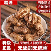 蝉蜕中药材50g蝉衣蝉壳蝉皮野生知了皮知了壳金蝉衣金蝉壳蝉蜕粉