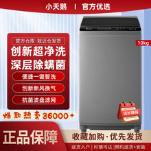 小.天鹅洗衣机8公斤家用宿舍10KG大容量全自动波轮正品直驱变频