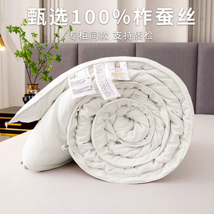 Handmade 100% Silk Quilt, Summer Cool Quilt, Machine Washable Cool Summer Quilt, Air-Conditioned Quilt, Spring & Fall All Year Round Quilt, Wholesale
