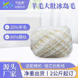 现货2.5支羊毛大肚冰岛毛针织围巾帽子线超粗毛线20%羊毛80%腈纶