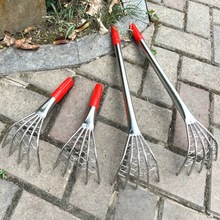 �s�����ӎ��W������ĵϠؐ���ғưҾW��ɳ���ں��r�ڸ���С��ľ��