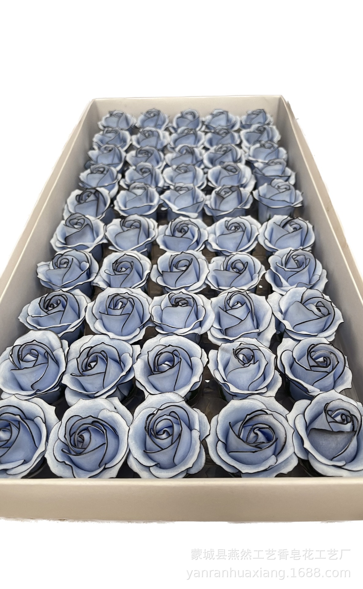 CA46B2FED6A1EDBDC55A74587A1586