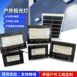 太阳能灯;投光灯;提灯