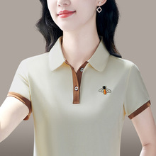 ����t��Ů�b�ļ�2026���¿�r�д�apolo����������ٴ��������