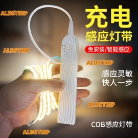 LED灯带;LED灯控制器;LED装饰灯