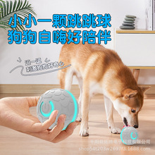 智能狗狗玩具球遛狗猫自嗨解闷神器宠物耐咬逗狗防拆家电动跳跳球