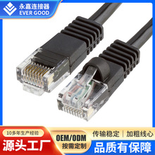 ֱ������A�������ΰ�о�p�g�� ����ǧ������ �W�j�O���B�Ӿ�