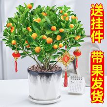 �ļ�����������Ә䎧���l؛�҃���͏dֲ���̨�辰���]�S��Դ�^