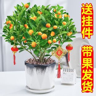 �ļ�����������Ә䎧���l؛�҃���͏dֲ���̨�辰���]�S��Դ�^