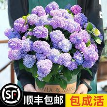 ������o�M���ļ��_�����ད������ͥԺ���B�Ļ���ֲ���҃Ȼ�