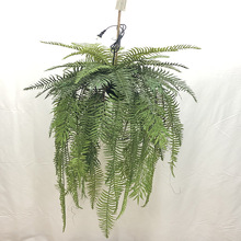 ����辰[������Gֲ�b�¿����[�������ֲ��������҃ȿ͏d