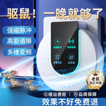 �����������5�¼��ò�����������������s��׽�����؈