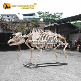 手工摆件博物馆室内装饰 大型仿真动物骨架化石 巨貘骨骼大型模型
