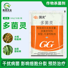 �������`ˮ�����䲡������ɏź�~�߲�����`��������������500g