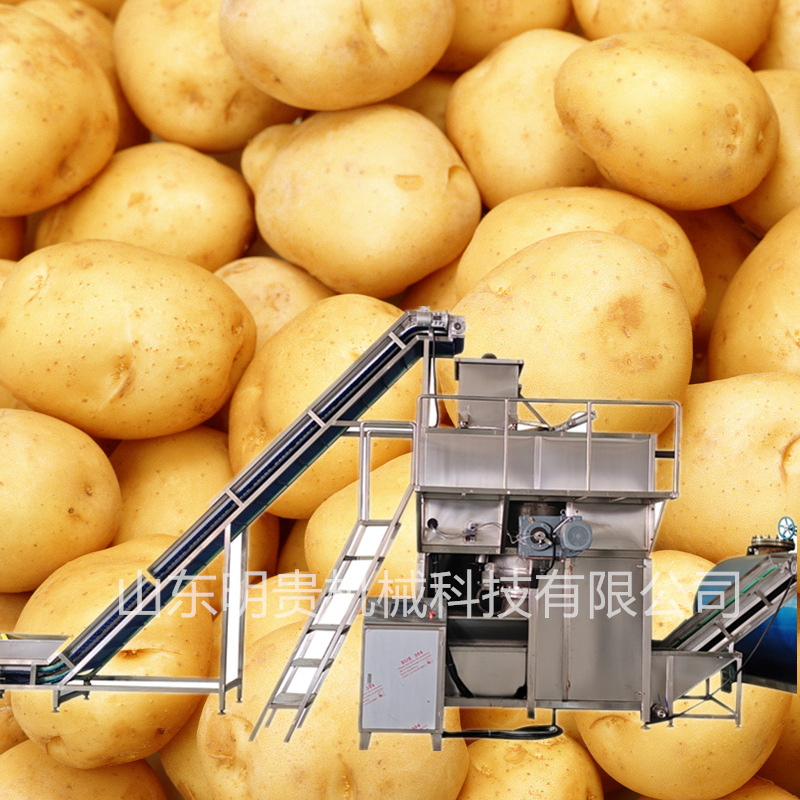 红薯土豆蒸汽去皮机 山药豆高温脱皮机 农产品南瓜蒸汽去皮设备