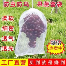葡萄套袋水果枇杷透气保护袋防虫防鸟网袋防鸟网袋水果果树浸种袋