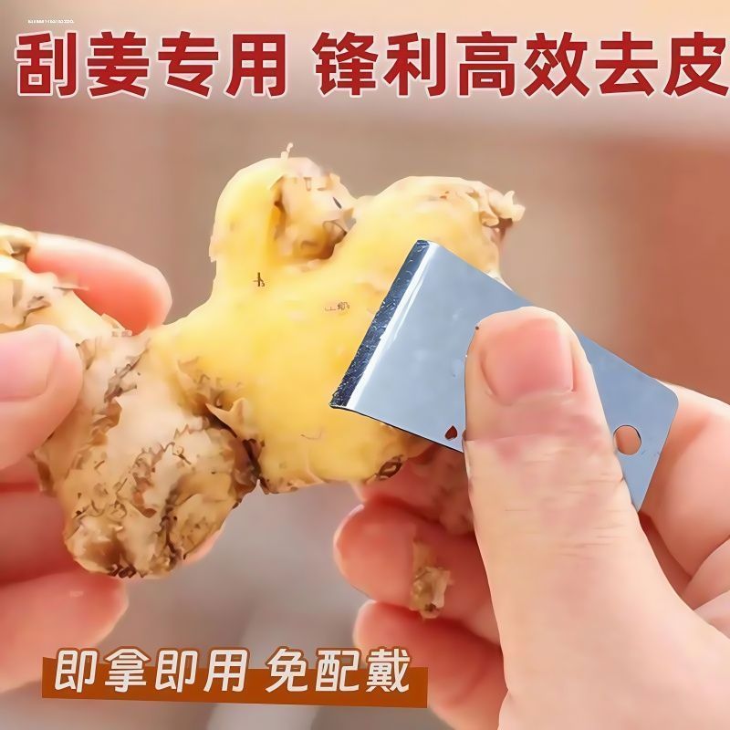 新款不锈钢生姜去皮器刨姜器剥蒜刮姜皮刨豆芋头刮皮刀厨房家用无