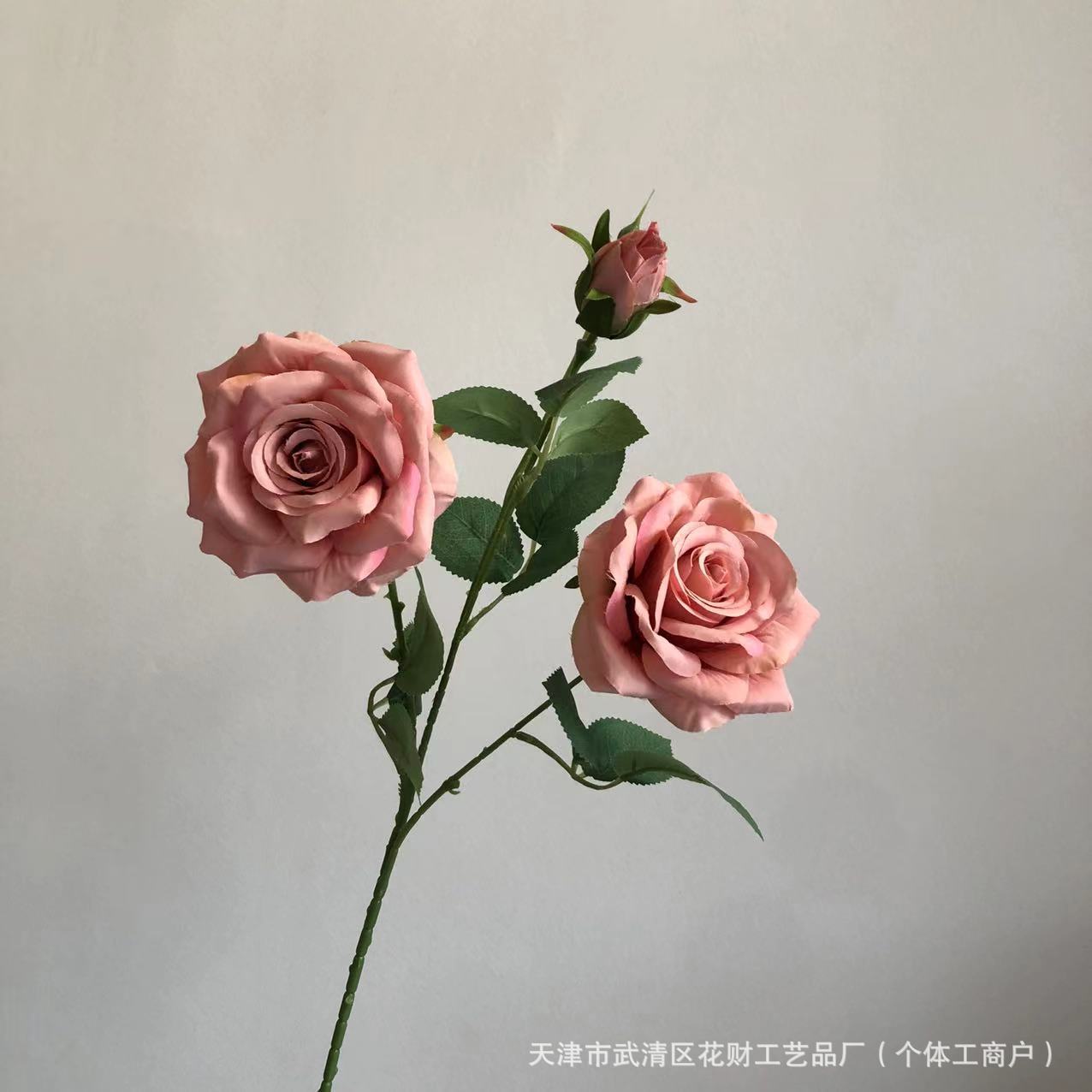 된장가루