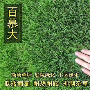 ������Ľ���ƺ�N�Ӳ��фe��ͥԺ�G���Ͳ�̤�ͺ��ͺ��ߙn�ļ�����