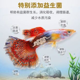 Use Fish Food High Protein Feed for Bettas, Guppies, Tropical Fish, Goldfish, Pellet Fish Feed, Floating Small Fish Food
