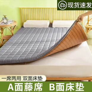 ���z��ϯ���|�ļ�2026�¿���ϯ���p�涬�ă��ÌW��������˼���