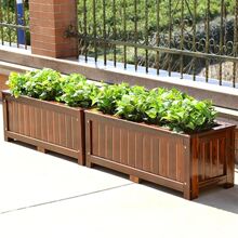 ����ľ�����L���Ό�ľ�����̨�N�˷Nֲ��Ͱ����¶̨�M����ƻ���