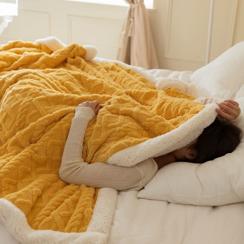 Thickened taffeta casual blanket, lambswool blanket, internet celebrity cross-border blanket, simple solid color gift blanket