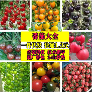 ���ҷ���ǧ���}Ů���N���}Ů�����t���߲��ݴ����ļ��Nֲɳȿ��