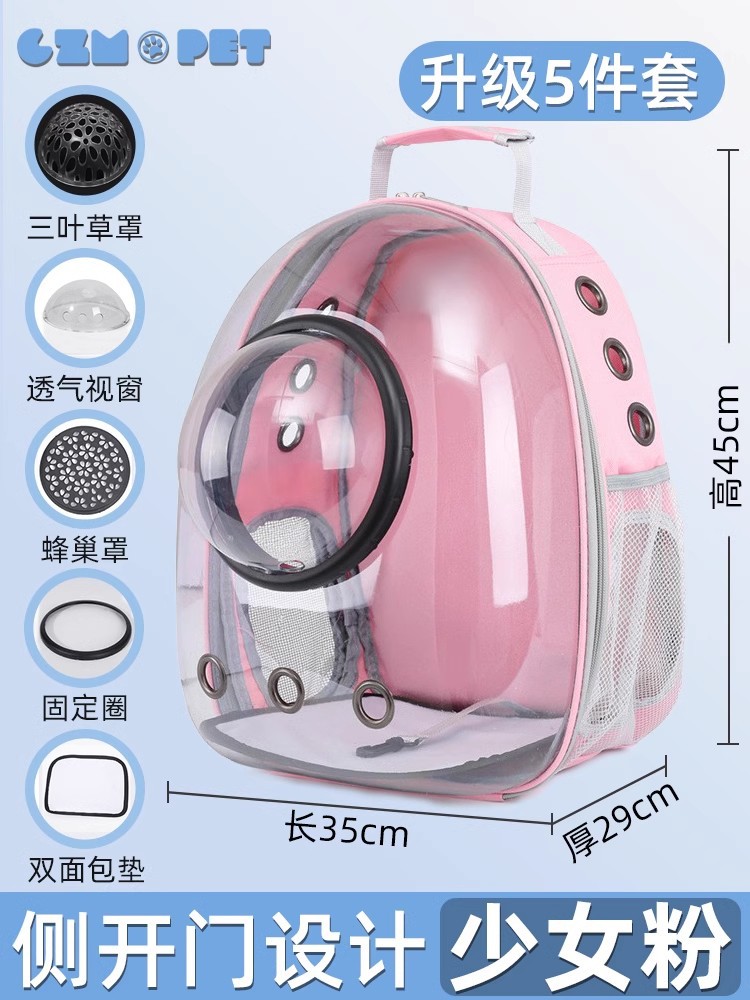 (업그레이드 5 피스 세트) 투명 귀여운 파우더 [표준 패키지 클로버 커버]]