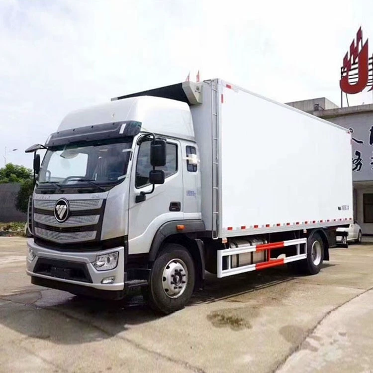 Рефрижератор Dongfeng Dolica 9.6 м, рефрижератор для свежих фруктов и овощей, новый национальный стандарт VI