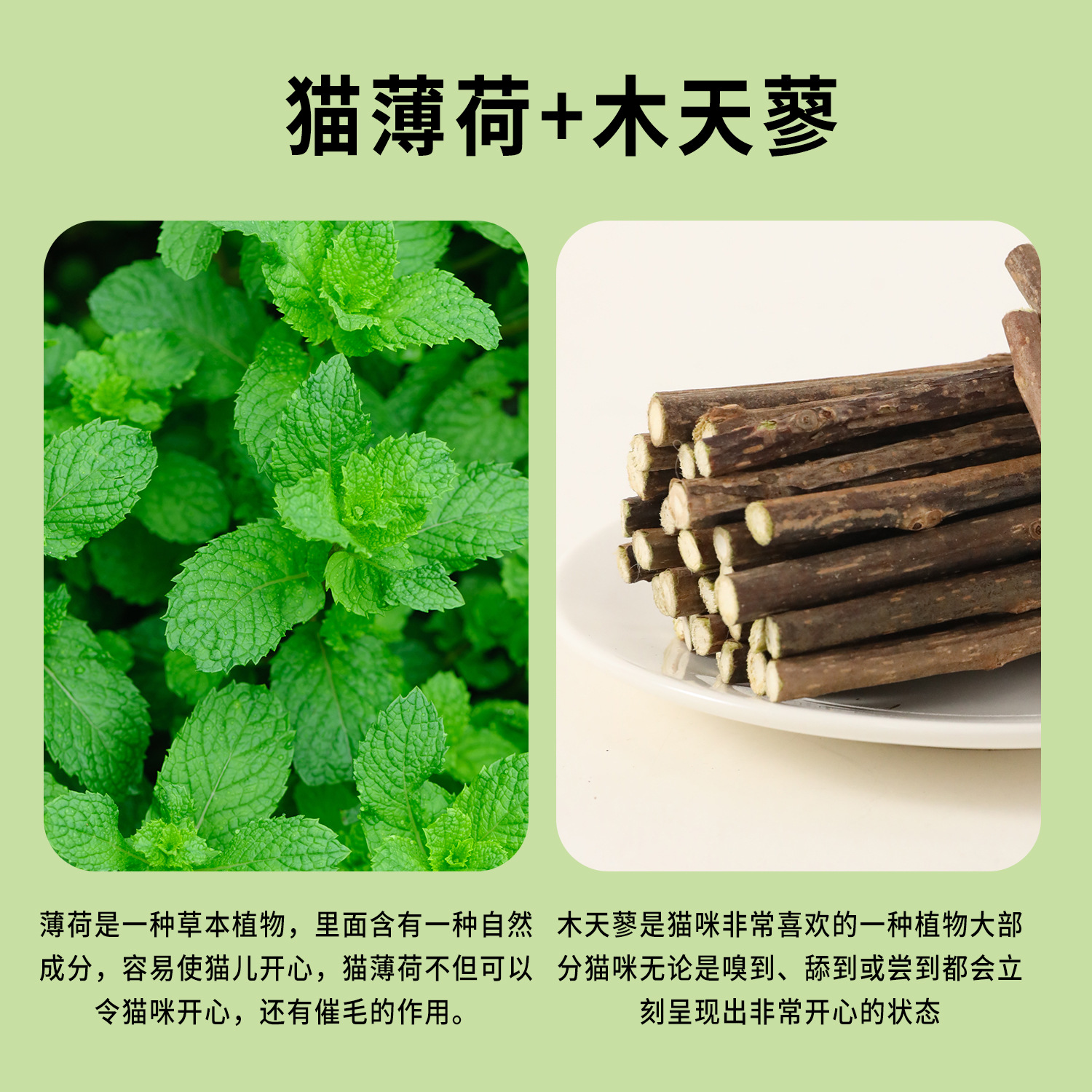 Z dibujos animados gato menta lollipop gatos molar dientes para aliviar el aburrimiento de la madera polilla de dientes molar varilla en gatos jóvenes dientes limpiadores varilla de gato