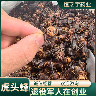 ���^����ș�� �Ƀ��o�s�o��o��������ă�����܊���ڄ��I