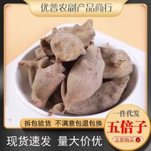 中药材批发特级五倍子 可磨五倍子粉 敏感男性 可搭蛇床子500g克