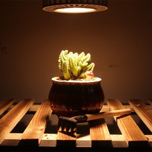 Full-Spectrum LED Plant Grow Light PAR30 30W/35W for Flowers, Vegetables, and Greenery – PAR30 Supplemental Lighting with 98 CRI