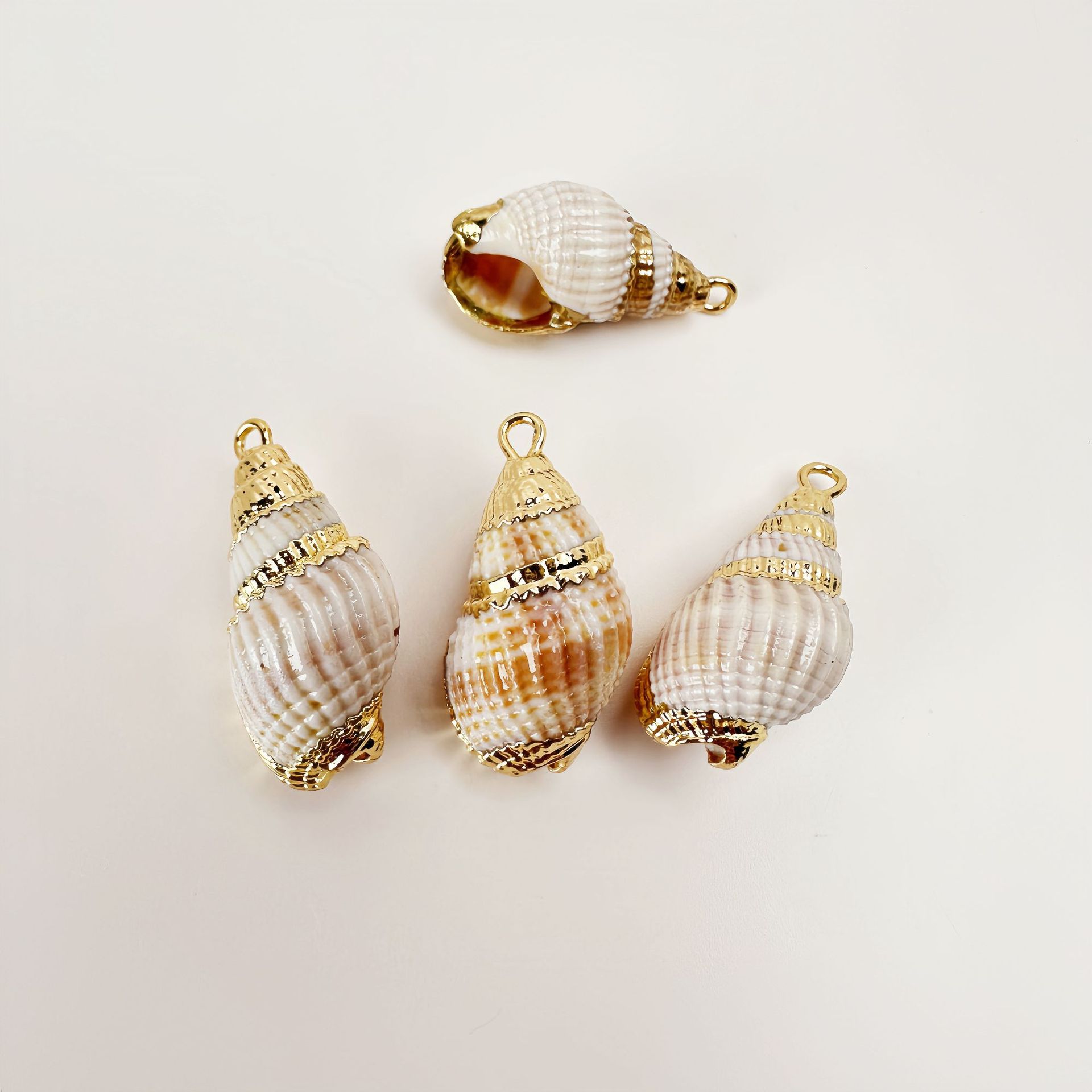 흰갈색 줄무늬 달팽이 21마리