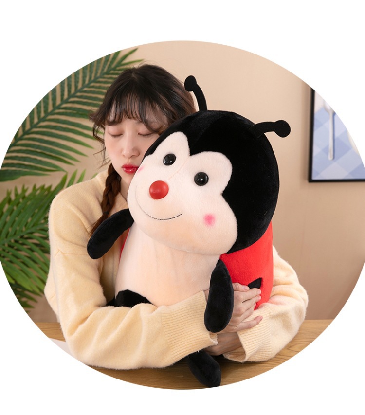 瓢虫 (11).jpg