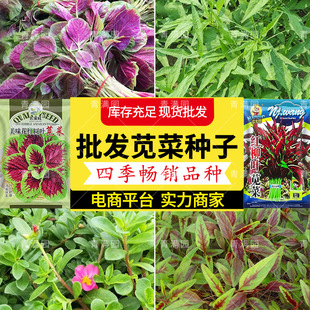 �����~�{�˷N�ӝh�˷N���L�۲����~�����ļ��̨�����߲˷N�Ӵ�ȫ