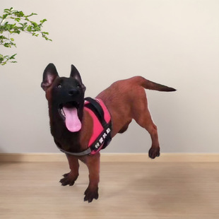 С�RȮ��������RȮ��Ȯ���N���w���̿����oԺ����ţ���ﹷ���t